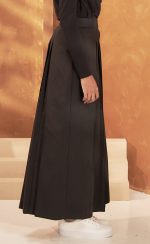 A-Line Pleated Skirt - (Black) Side 2